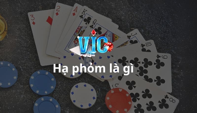 Hạ Phỏm Là Gì? Mẹo Chơi Hạ Phỏm Đơn Giản Để Chiến Thắng